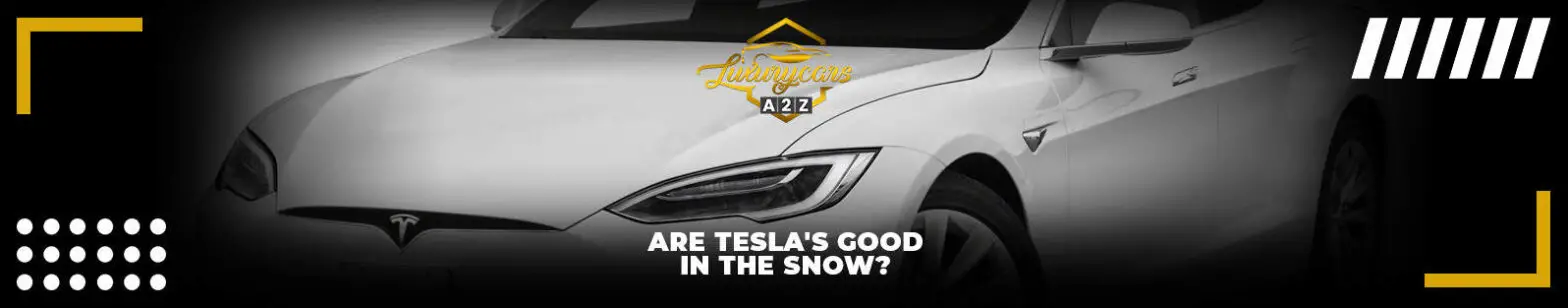 Er Tesla gode i sne?