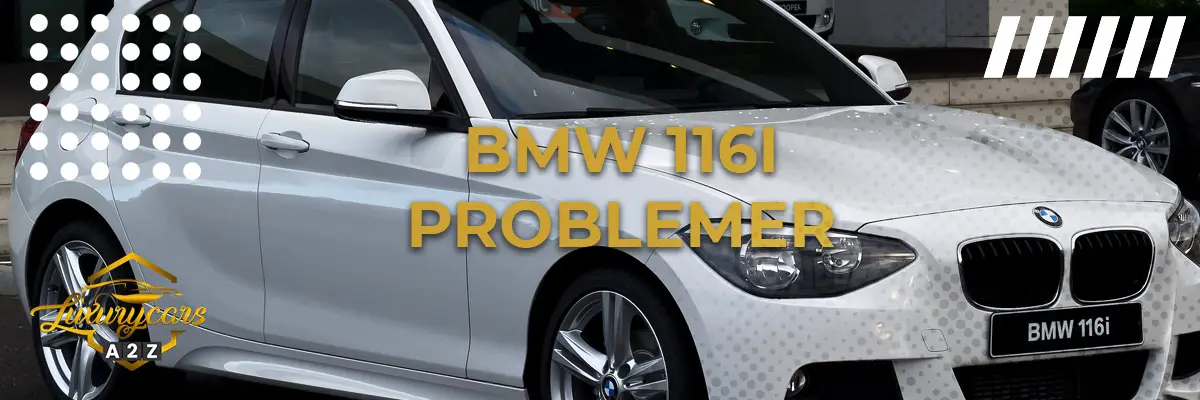 BMW 116i - Almindelige problemer & fejl