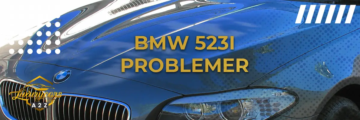 BMW 523i - Almindelige problemer & fejl