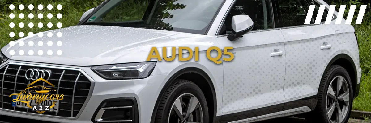Bedste år for Audi Q5
