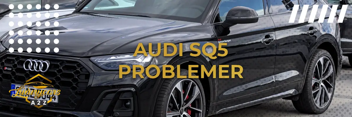 Audi SQ5 - Almindelige problemer & fejl