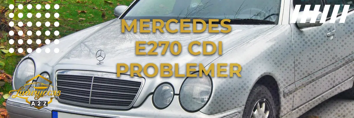 Mercedes E270 CDI - Almindelige problemer & fejl