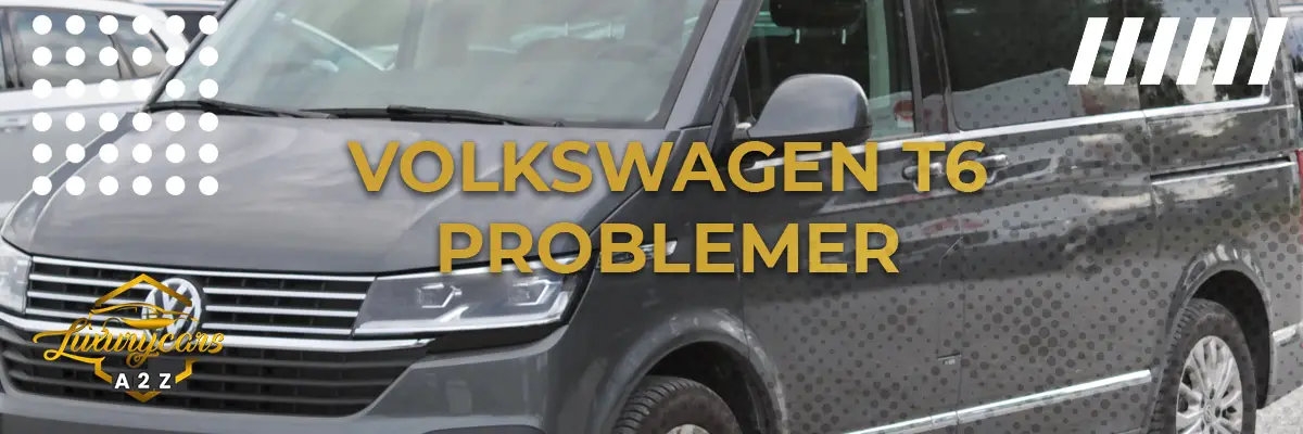 Volkswagen T6 - Almindelige problemer & fejl