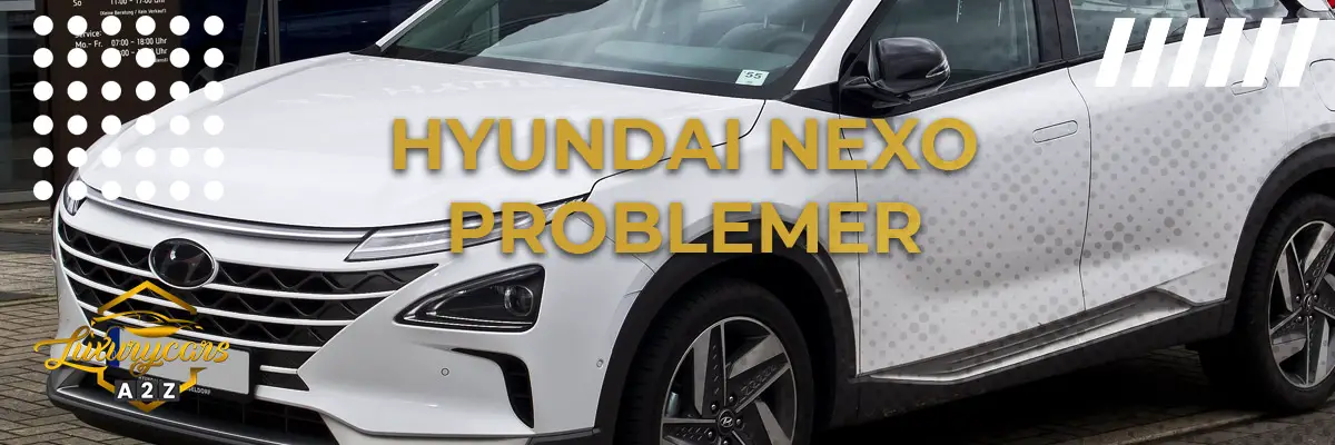 Hyundai Nexo - Almindelige problemer & fejl