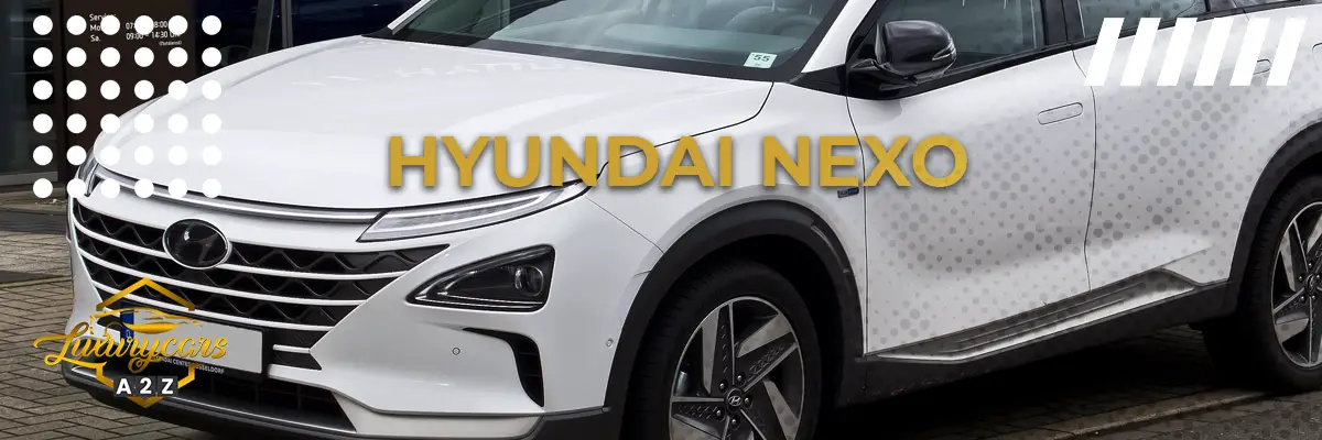 Er Hyundai Nexo en god bil?