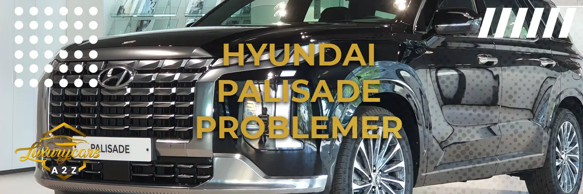 Hyundai Palisade - Almindelige problemer & fejl