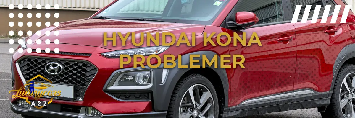 Hyundai Kona - Almindelige problemer & fejl